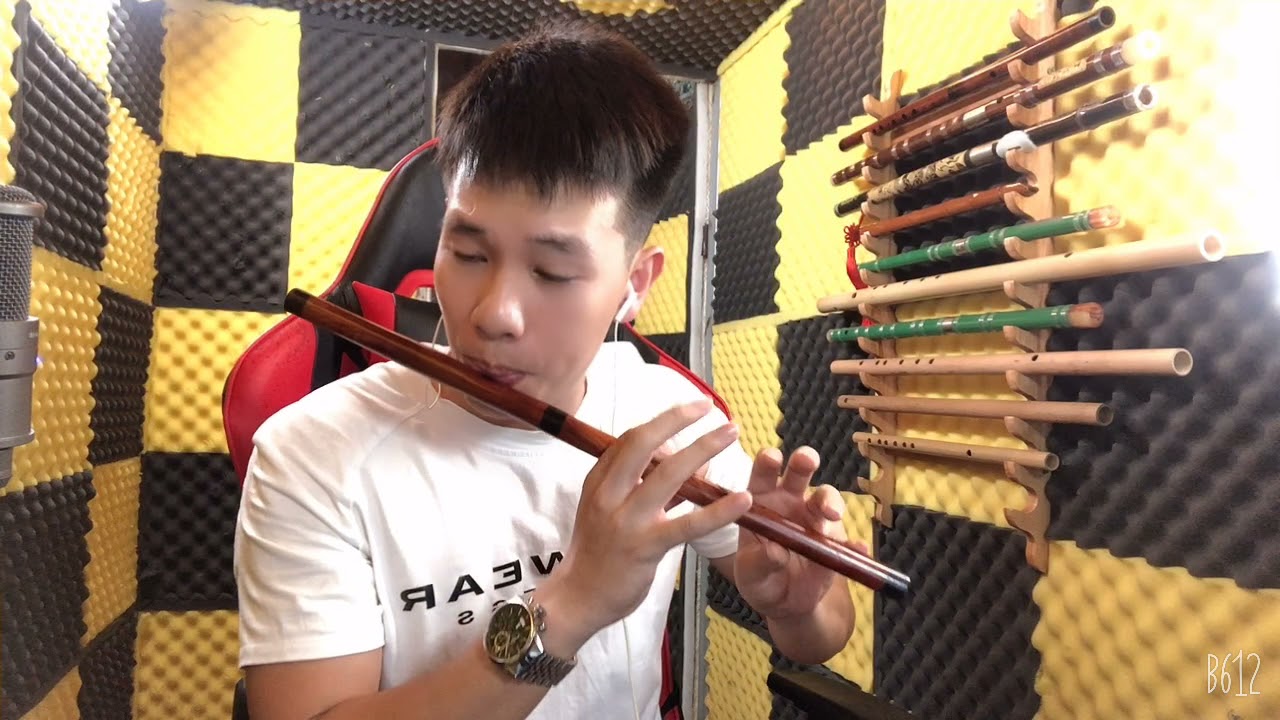 Lý Hoài Nam |Test Sáo C5 Gỗ Cẩm Sừng Cực Mượt| - Sáo Trúc Bính Trần