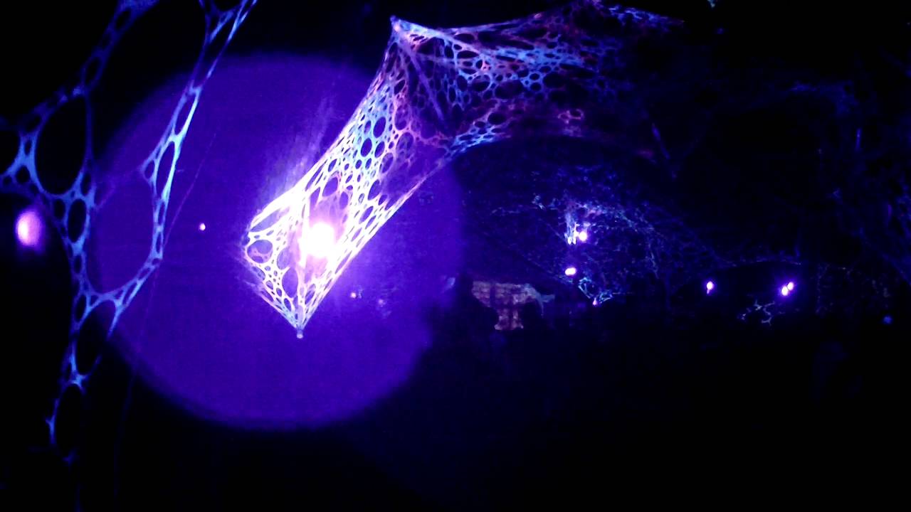 ☯ Kali Mela 2016 ☯ ECTOBOT live ☯