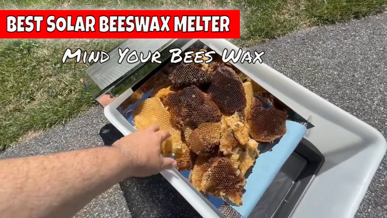 Заботьтесь о своем пчелином воске 🐝 | солнечная воскотопка