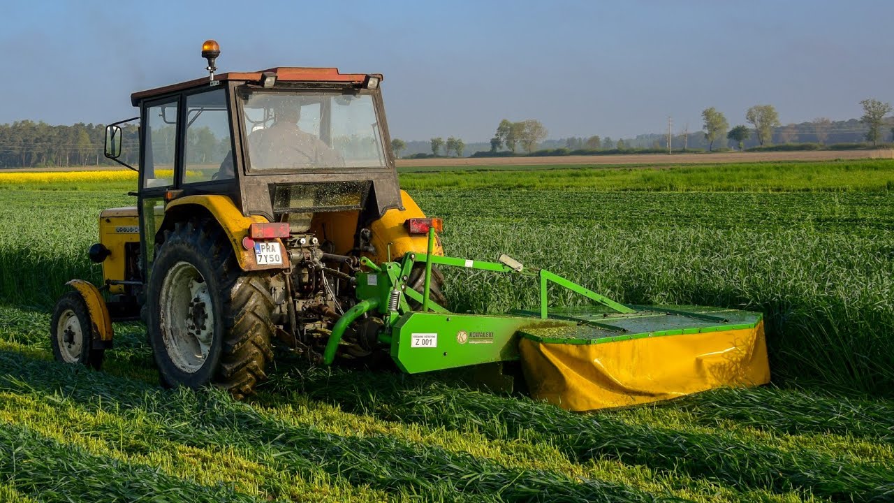 💚Żyto na kiszonkę 2022🌾Nowy Nabytek w akcji🌾Ursus🌾c360🌾c330🌾Case cs94🌾matic330m🌾