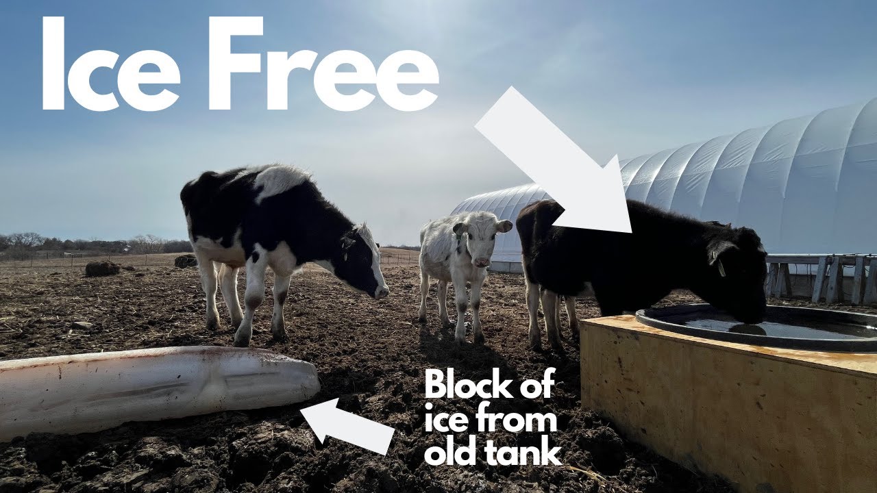 DIY Heated Stock Tank