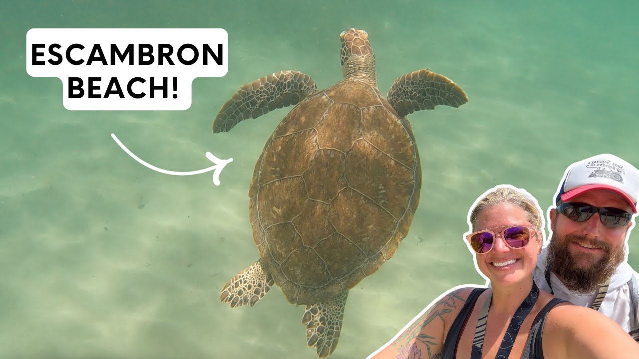 Однодневная поездка в Сан-Хуан. Пляж Эскамброн. Снорклинг с черепахами, пина коладой и сыром на г...