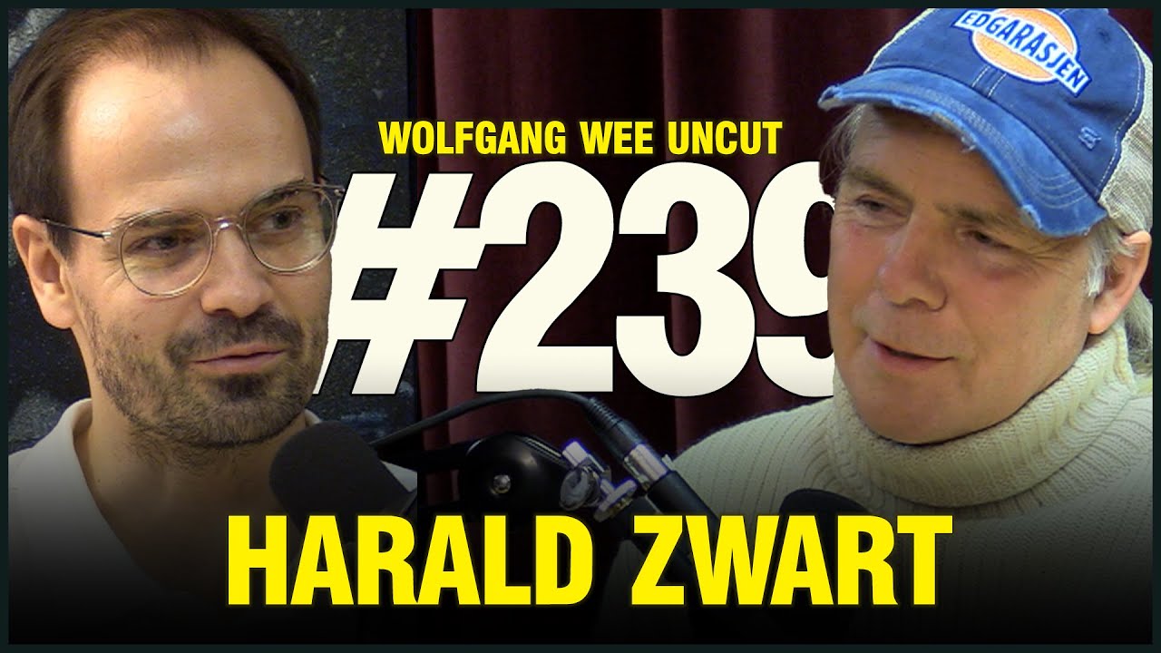 Harald Zwart | Hollywood, Filmproduksjon, Regiss&oslash;rrollen, Karate Kid, Lange Flate Ball&aelig;r, Filmmusikk