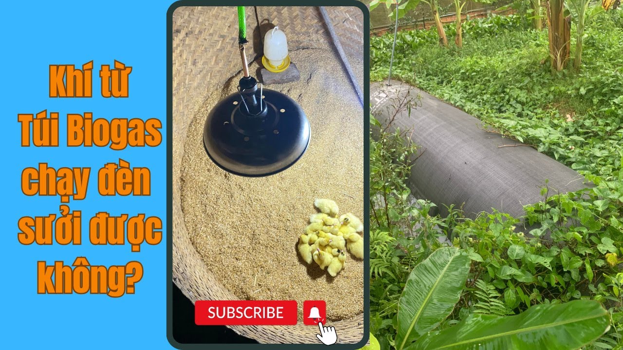 Khí từ Túi Biogas ATT chạy đèn sưởi có được không?