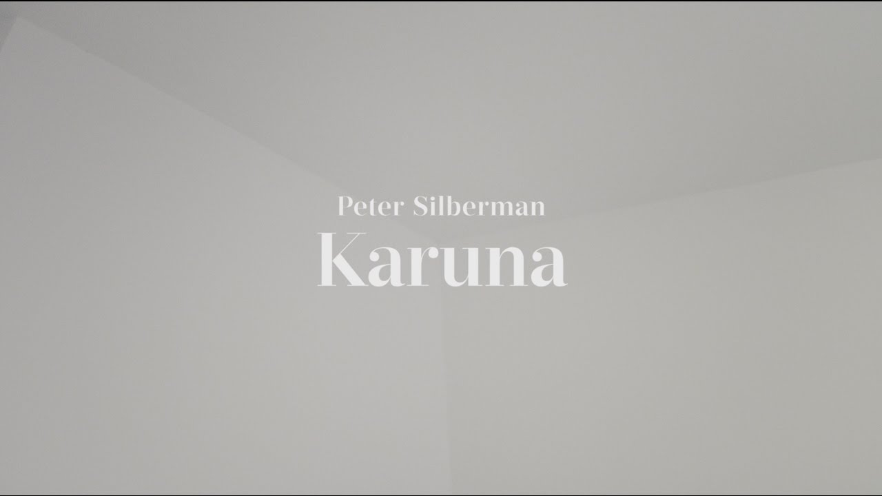 Peter Silberman - Impermanence at The Glass House | Part One: 