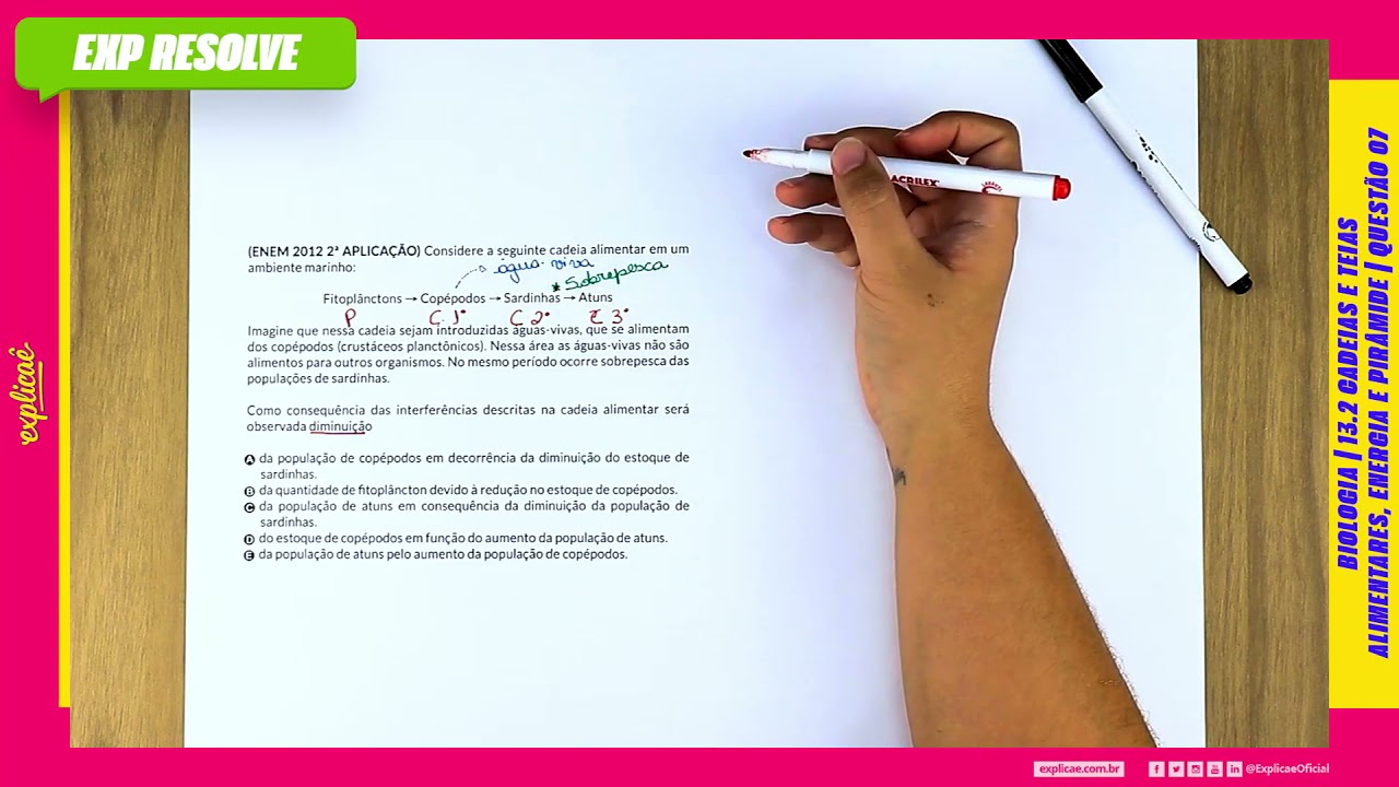 CONSIDERE A SEGUINTE CADEIA ALIMENTAR EM UM (...) | CADEIAS E TEIAS ALIMENTARES, ENERGIA E PIRÂMIDE