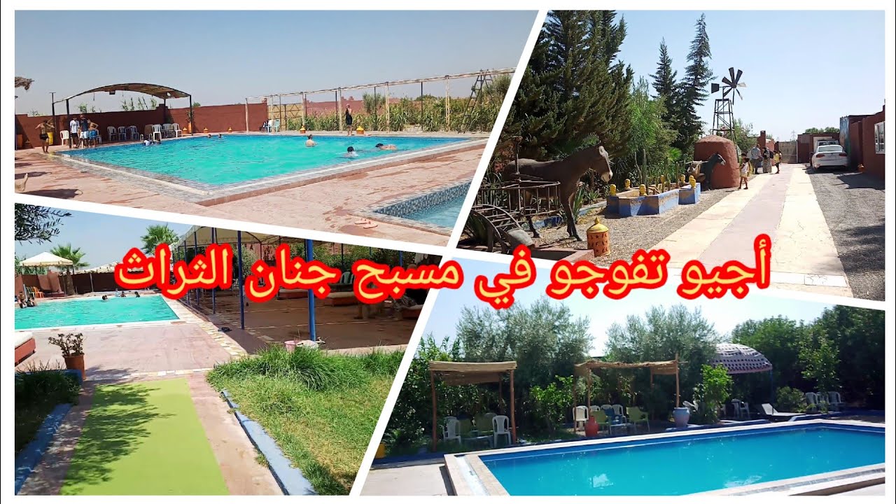 أجيو تفوجو معايا في مسبح جنان الثراث (جنان القنديل )