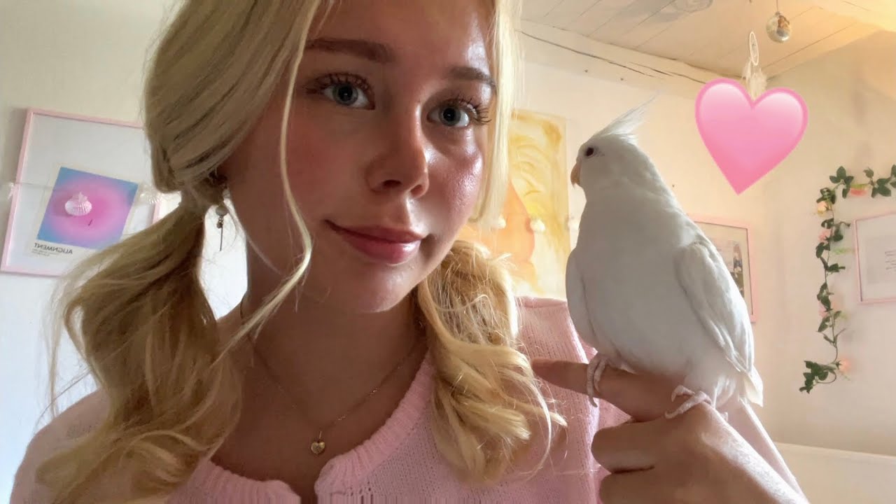 Bird Tries ASMR 🦢 MY NEW BIRD 💗