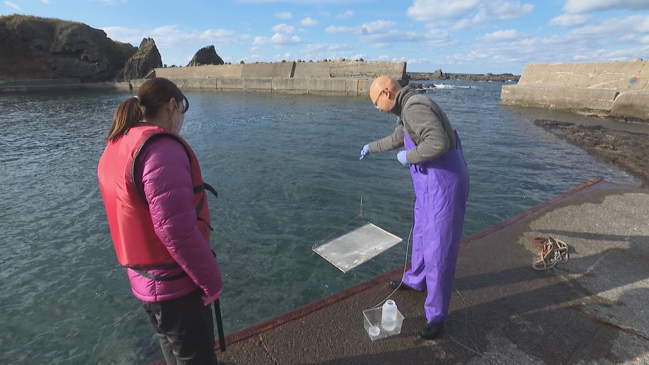 【北のフロンティア】ミクロとマクロから海に迫る～東海大学 生物学部 海洋生物科学科～ 2023年1月19日放送