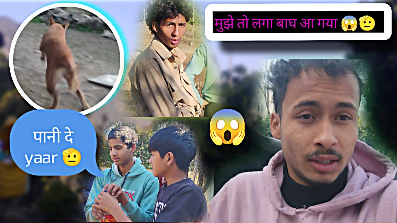 अरे ये तो कुत्ता निकला 🤣🐶 | बाघ समझकर डर गए 😨#dailyvlog 