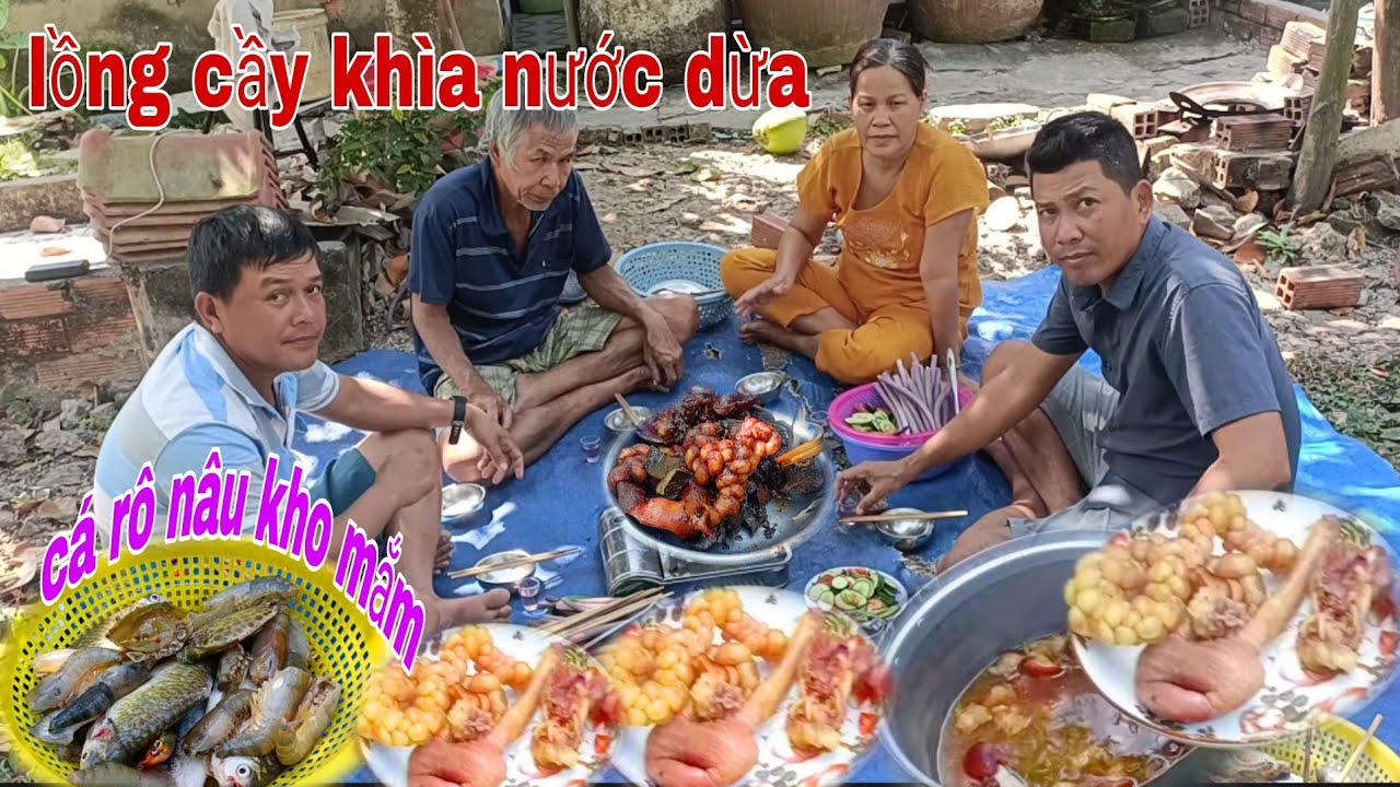 Lòng cầy khìa nước dừa kết hợp với cá rô nâu tôm càng xanh kho mắm. nhúng với bông súng ta...