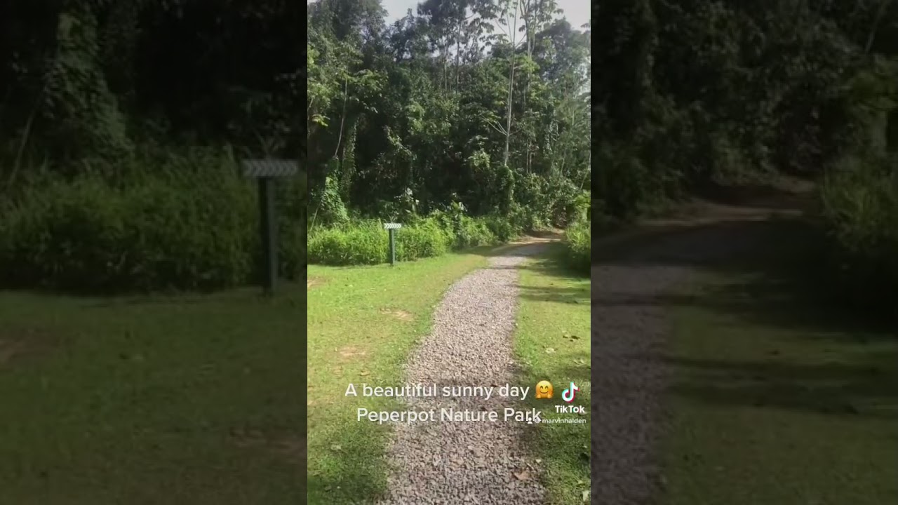 Dagtrip te Peperpot Nature Park