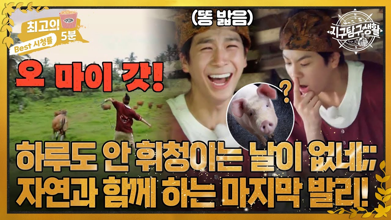 [최고의 5분_지구탐구생활] 소에게 잡혀가고 돼지와 소통하는 동원이의 하루!