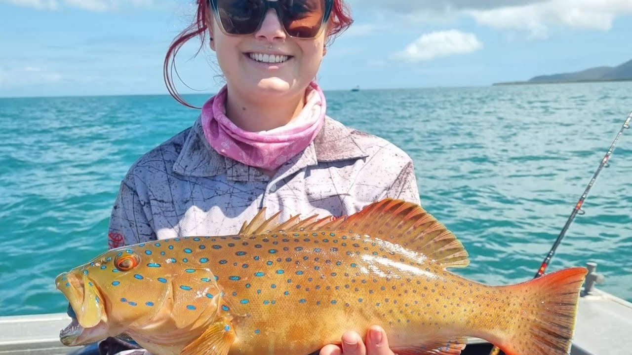 Fishing Townsville (Coral Trout and Island Visit)