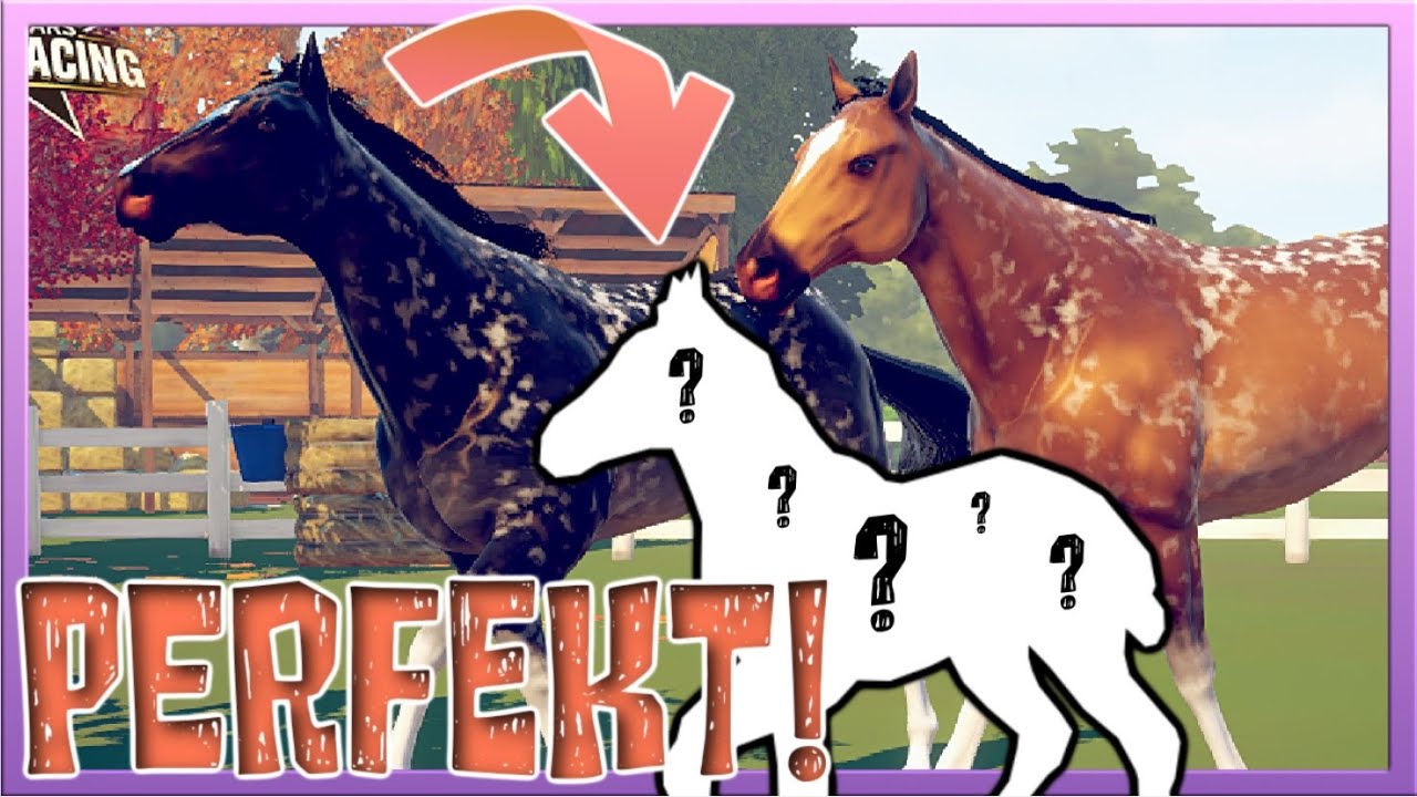 Dieses FOHLEN hat PERFEKTE Werte 🐴🌟 Rival Stars Horse Racing #144