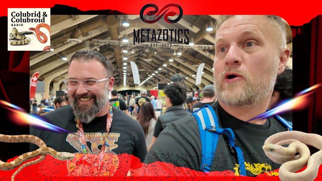 Разговоры о змеях с Клинтом из Metazotics и Colubrid & Colubroid Radio