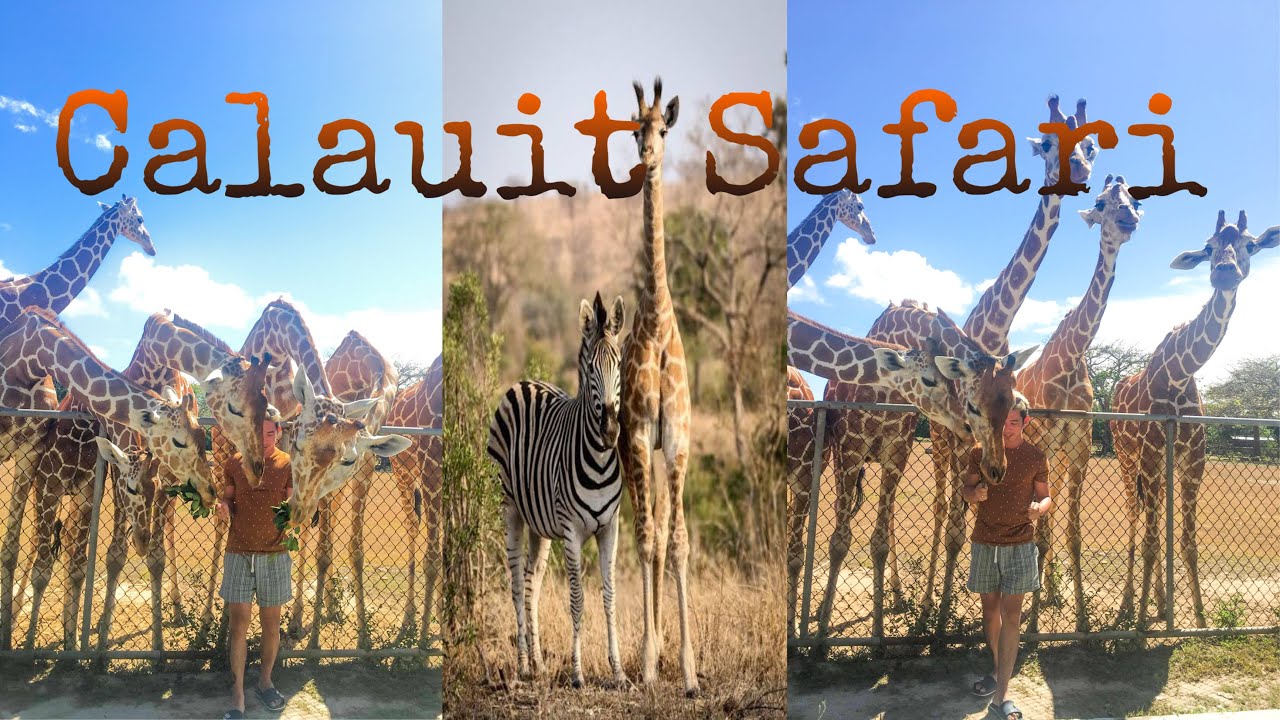 Motor Ride to Calauit Safari | Calauit Island, Busuanga Palawan || Jeff and Lea