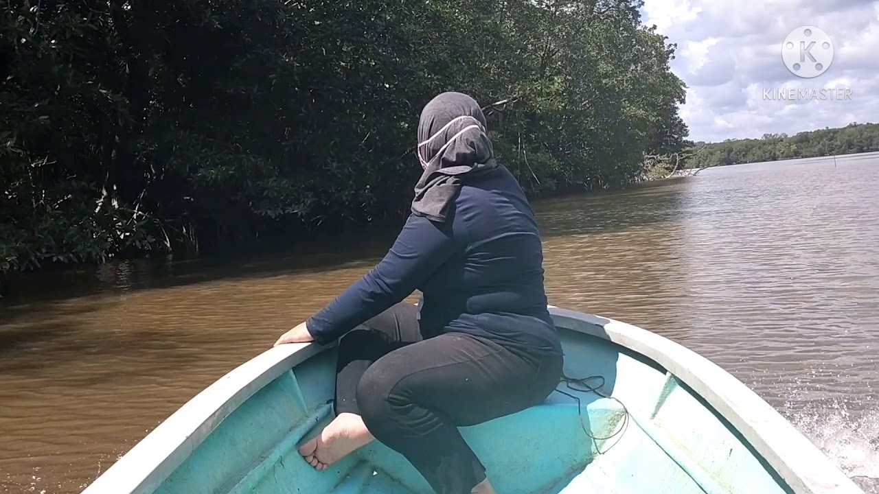 bawa isteri tarik bubu udang galah..
