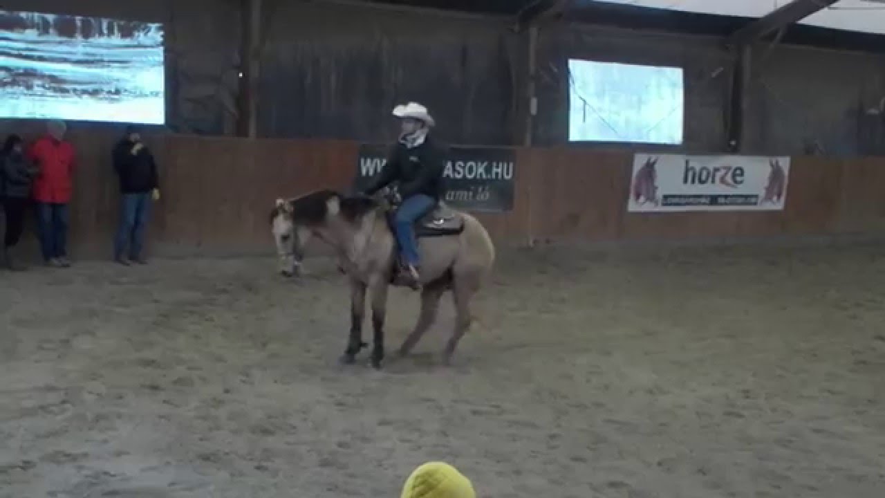Western - Reining Nyilt Nap bemutató