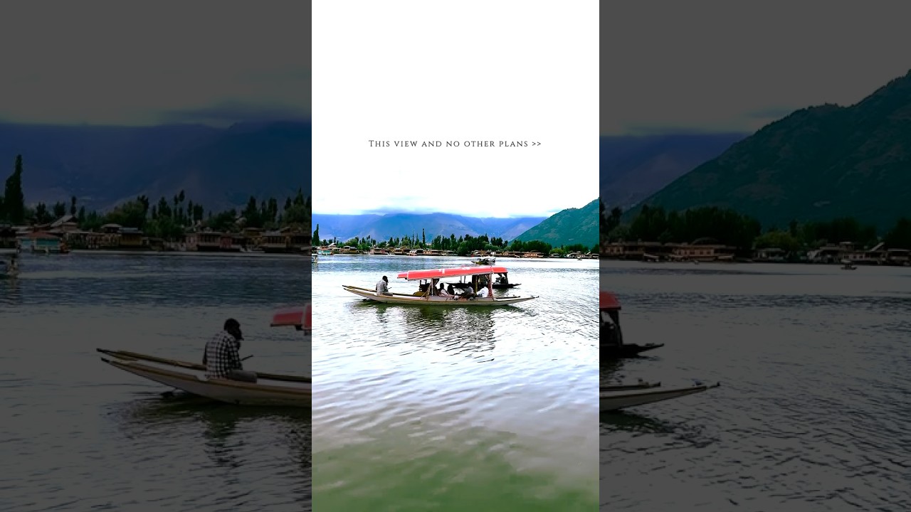 This View Beats Every Other Plan 🛶✨ | Dal Lake Kashmir #Shorts ⭐