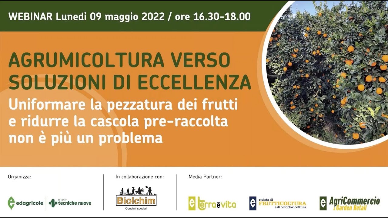 Webinar: Agrumi, come uniformare la pezzatura e ridurre la cascola