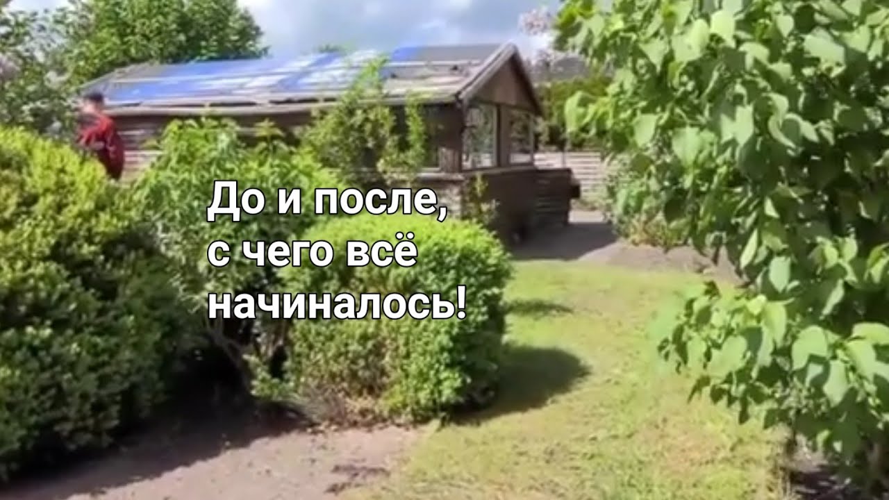 Дача в Германии/ Как изменился наш участок за год!
