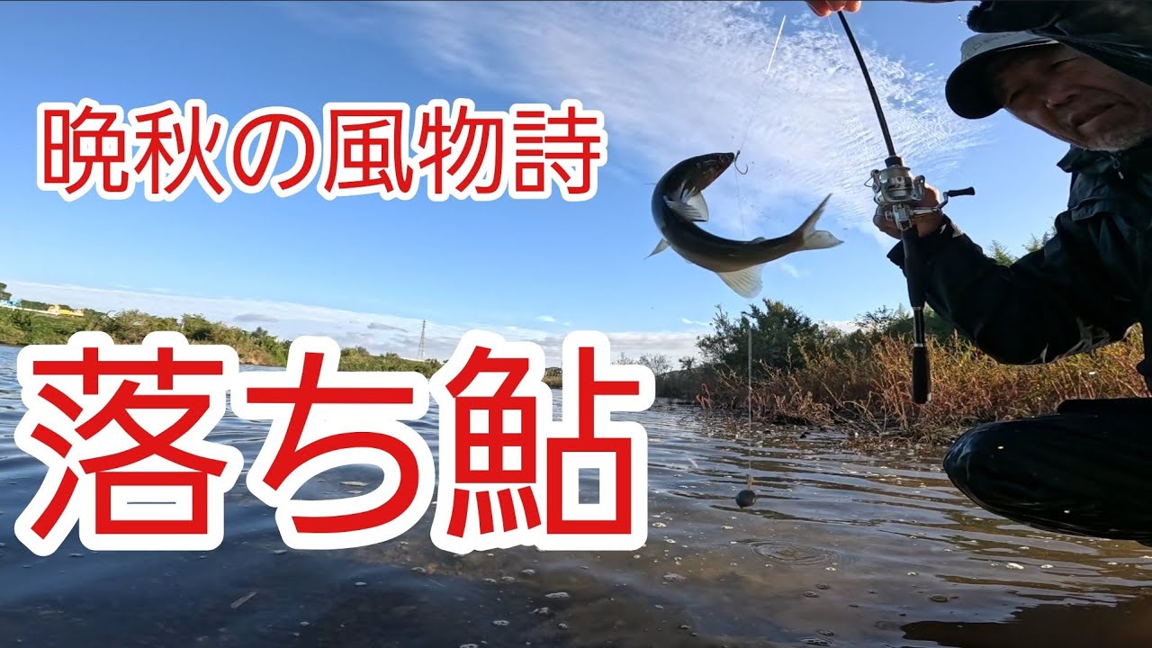 【シーズン最終釣行】落ち鮎を求めて…晩秋の川で最後の勝負 　2025年11月11日