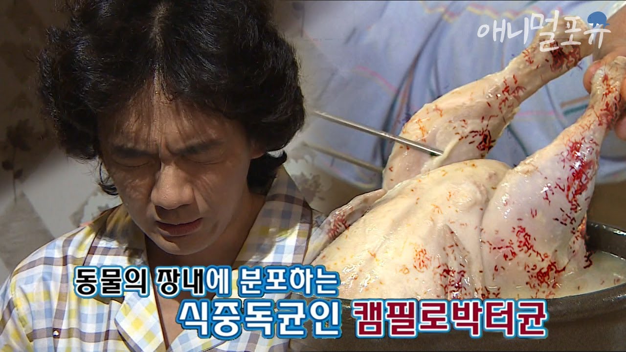 삼계탕을 맛있게 먹던 남자가 갑자기 복통을 호소한 이유..??🤔 l KBS 위기탈출 넘버원 130603 방송