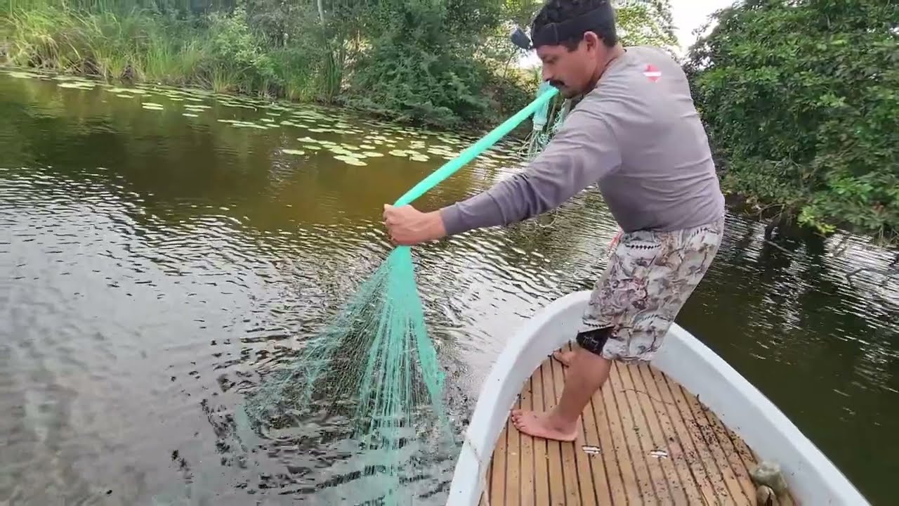 Pesca con atarraya con esta técnica pescamos 23 mojarras de un atarrayaso