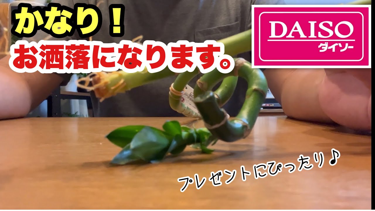 またまたDAISOで開発！よく余っているあの植物が驚きの｡｡