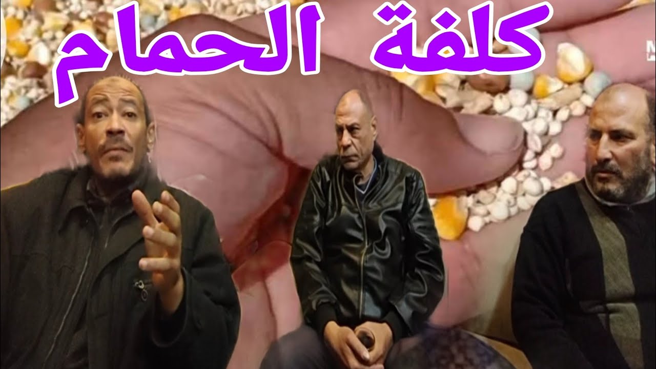 الحل سيد الاختيار#الحمام_الغزار