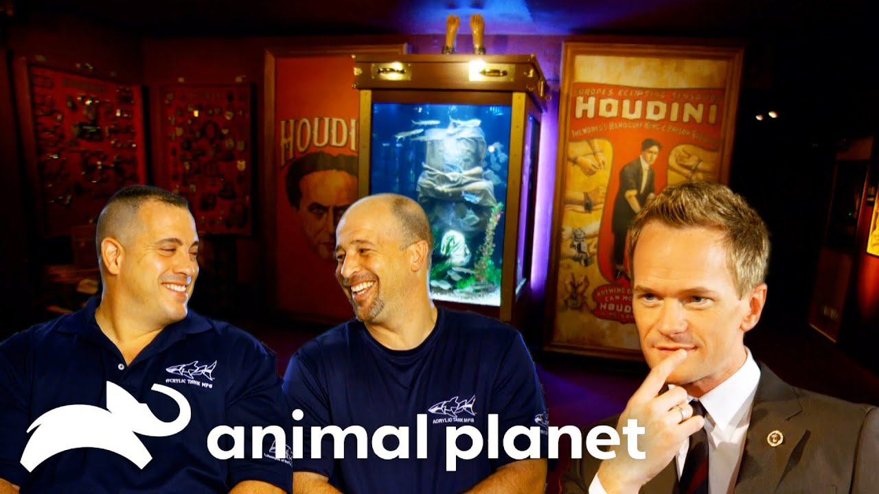 Neil Patrick Harris Requests A Magical Tank! | Tanked | Animal Planet