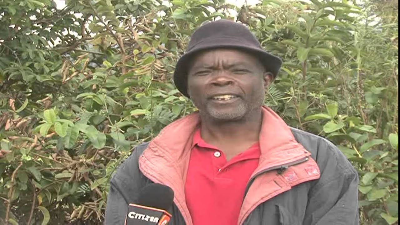 Man Kills Wife Over Chicken Meal