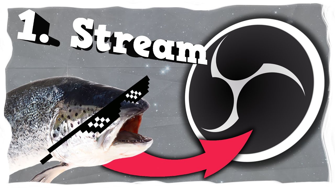 Der erste Stream eines Fisches (Schlägerei in Paint The Town Red)