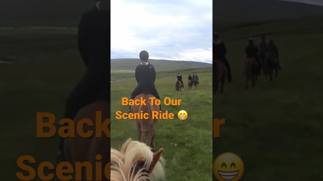 Back To Our Scenic Ride ! 🇮🇸🐴 #iceland #horses