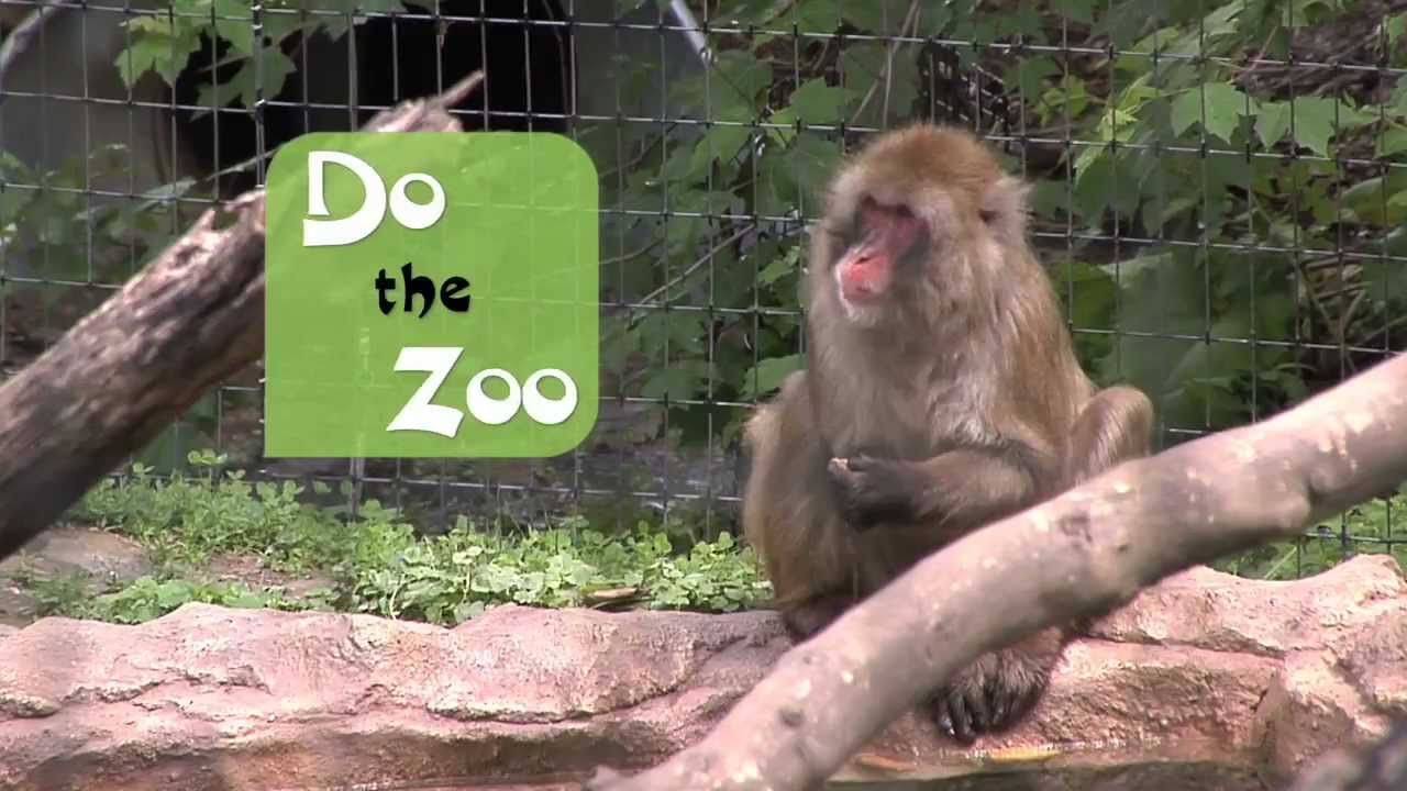 Blank Park Zoo 