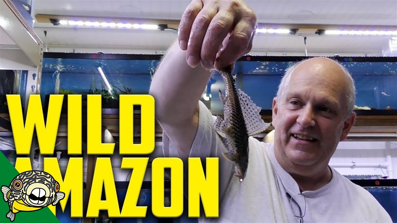 WILD FISH UNBOXING!