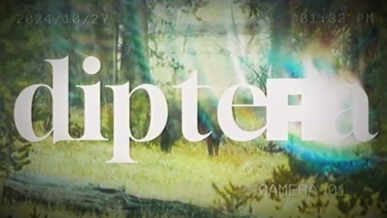 DIPTERA - Flyzad & Prime Manifez ( the only visualizer )