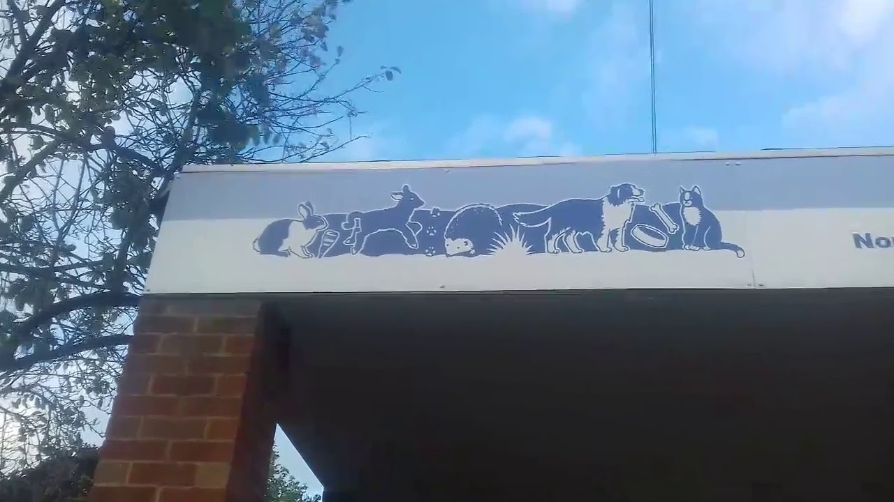 What A Spectacle at RSPCA Shop Northampton England