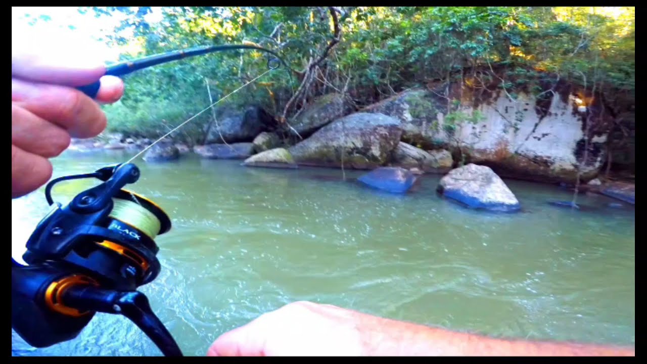 I hooked something HUGE in the RAINFOREST!