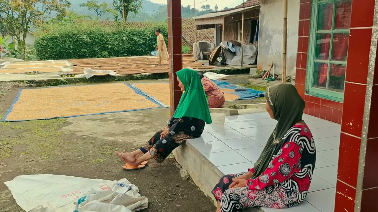 Realitas petani desa cidugaleun yang jarang terekspos