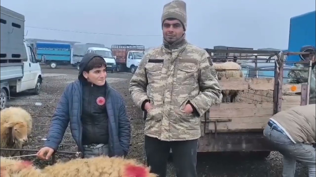 BERDE QOYUN BAZARI 26.12.2025
