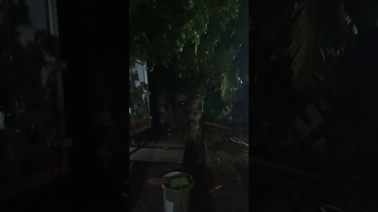 Kakek sakti VIDIO  sedang live sekarang!