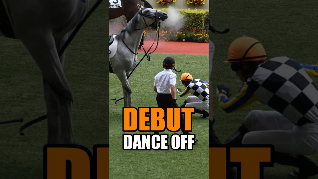 Gaia Force Said “Let’s Dance” 🕺🐴