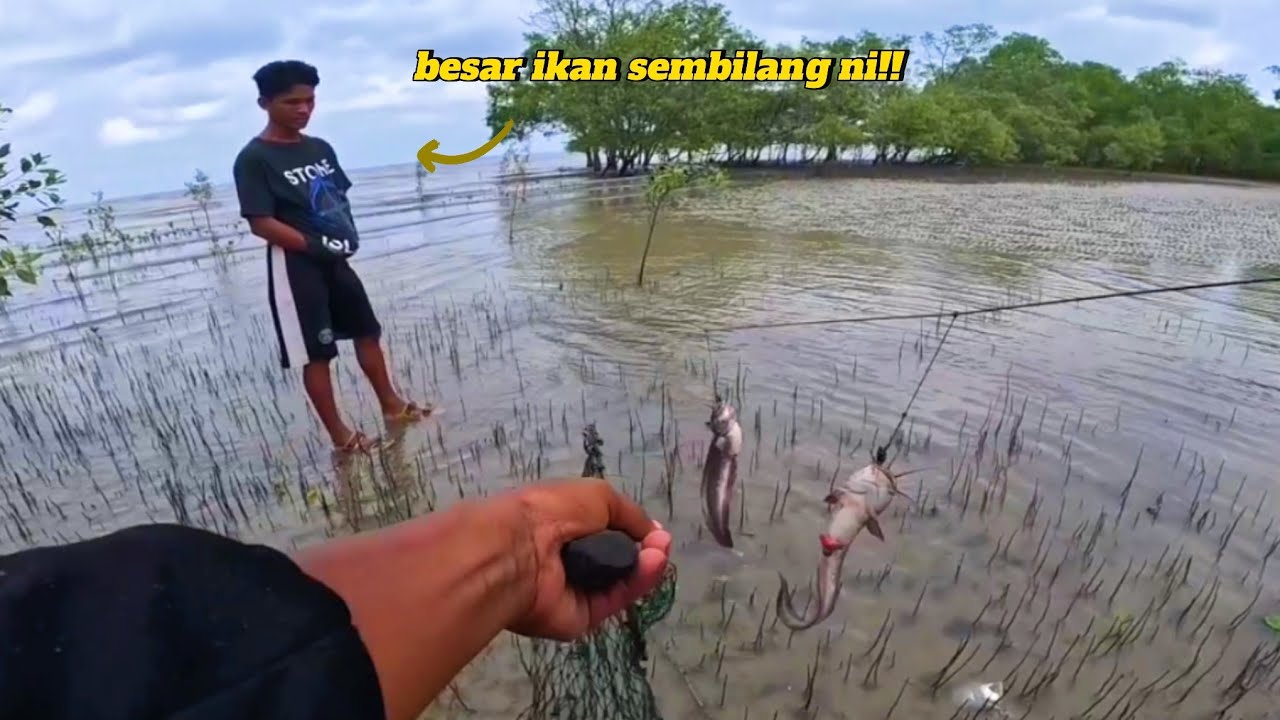MERAWAI IKAN SEMBILANG SAMPAI PENAT NAK MEMBUKA⁉️RAWAI PERSISIRAN PANTAI..
