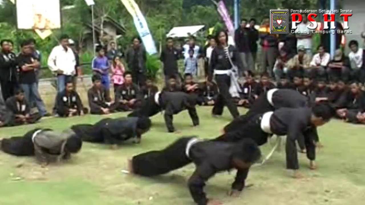 Latihan Siswa Putih Calon Warga PSHT Cabang Lampung Barat 2008