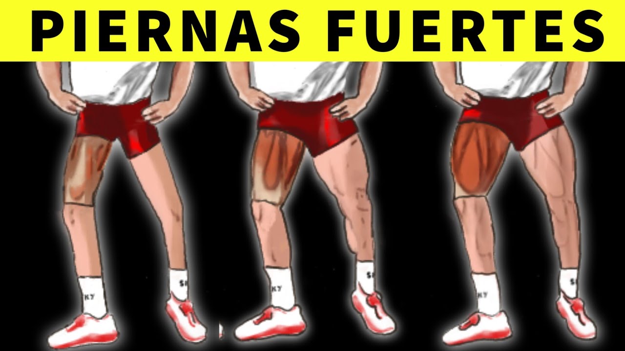 12 MEJORES EJERCICIOS PARA PIERNAS FUERTES 🚲 SALUD CICLISTA