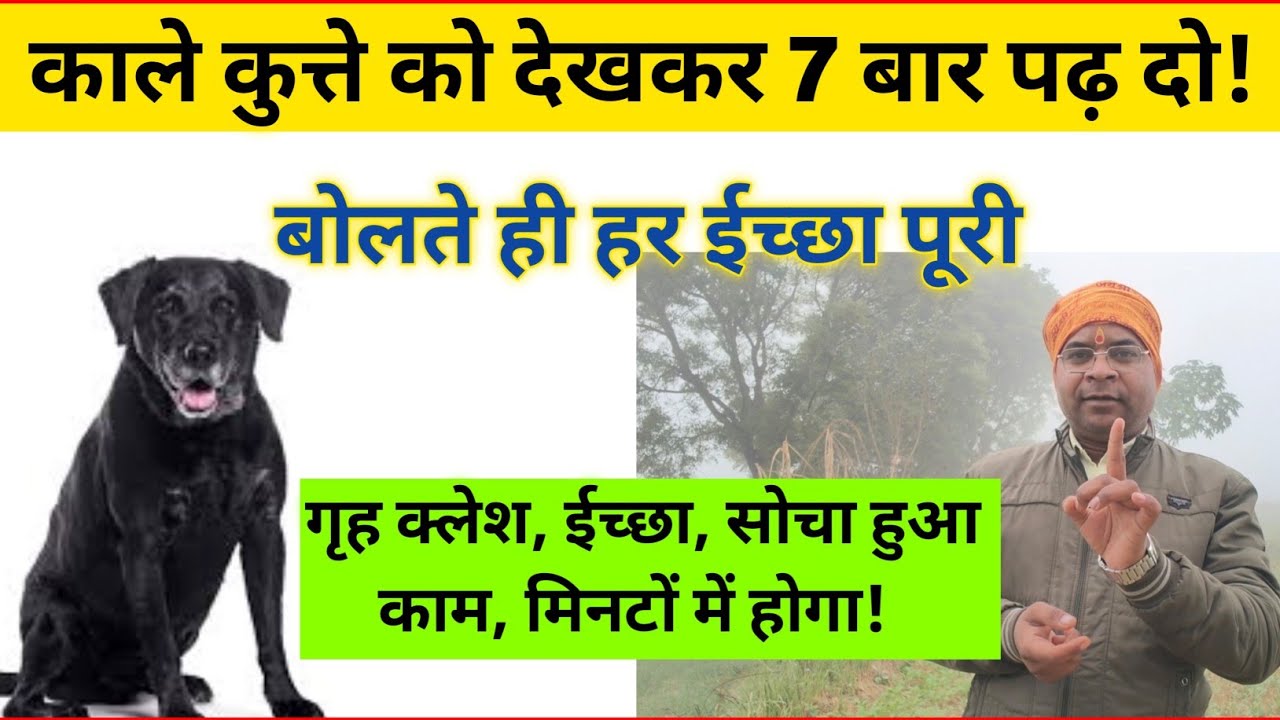 #काले कुत्ते के सामने इस मंत्र को 7 बार पढ़ दो ❗आपका कोई कार्य रुकेगा नहीं!