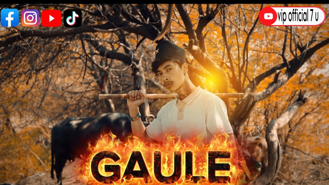 NEW NEPALI RAP SONG VIP KING  GAAULE (गाउले) 