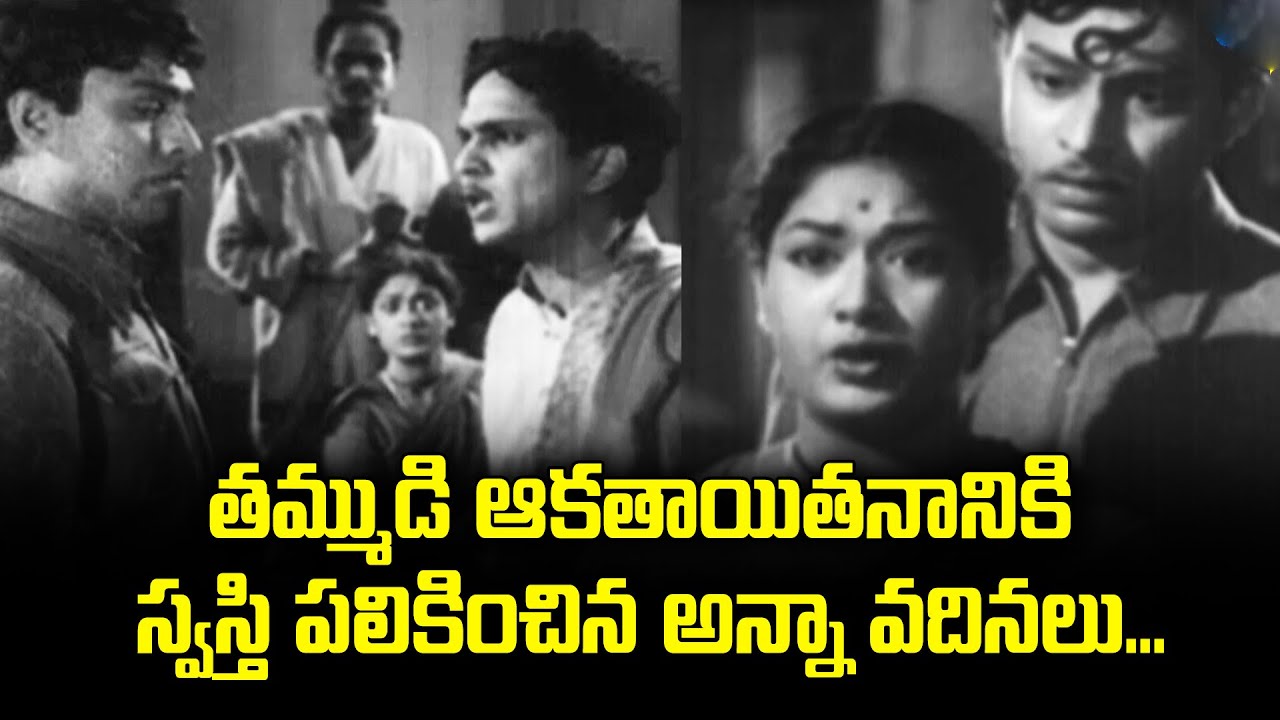తమ్ముడి ఆకతాయితనానికి స్వస్తి పలికించిన అన్నా వదినలు | ANR | Savitri | ETV